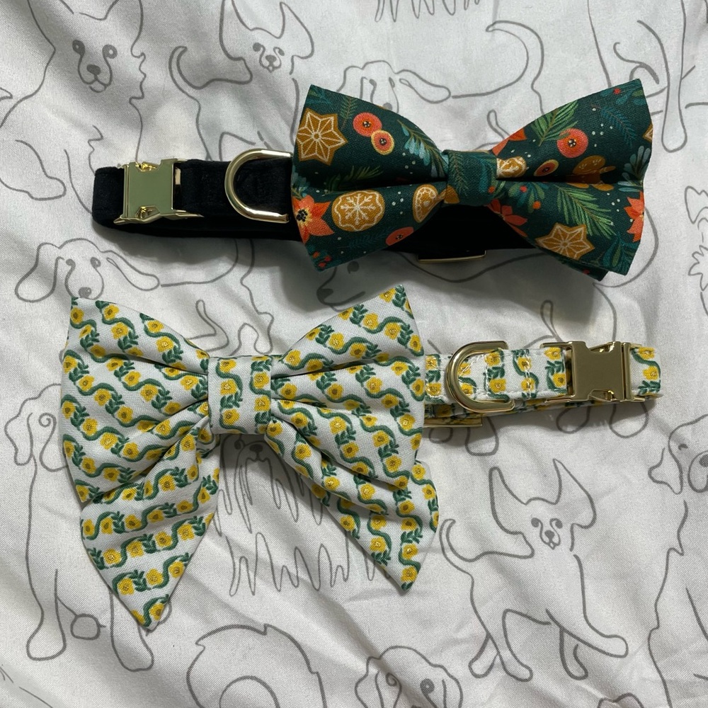 The Foggy Dog Collar, Bandana & Bow Bundle